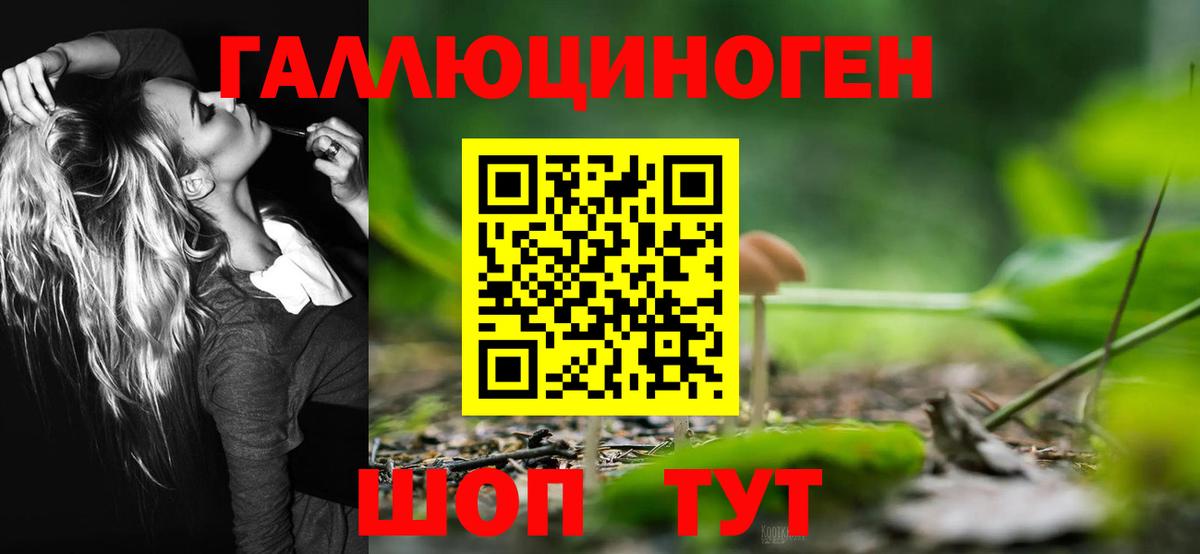 Псилоцибиновые грибы Psilocybe Назрань