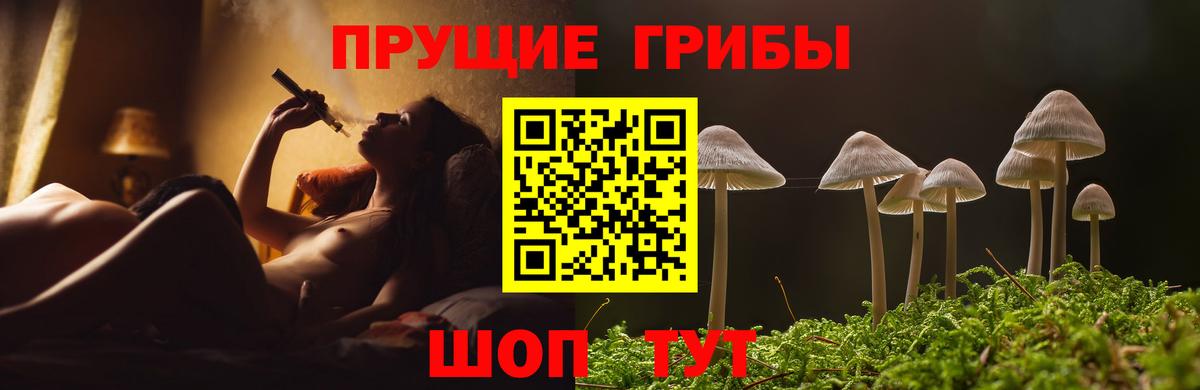 Назрань  Псилоцибиновые грибы GOLDEN TEACHER  Вход с VPN  Галлюциногенные грибы Cubensis 